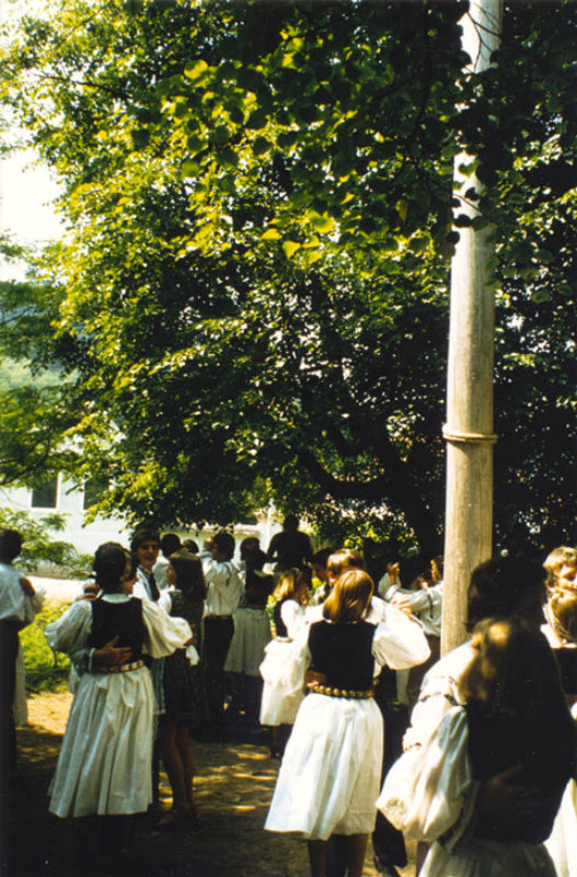 Kronenfest in Trappold, Juni 1979: Tanz unter der ...