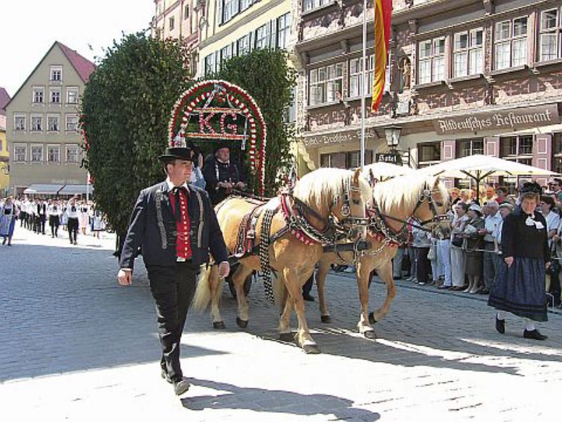 Schnauer Rinnenwagen beim Heimattag 2008 in ...