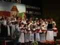 Siebenbrger Sngerchor Schweinfurt