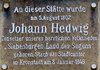 Gedenktafel Johann Hedwig in Kronstadt 