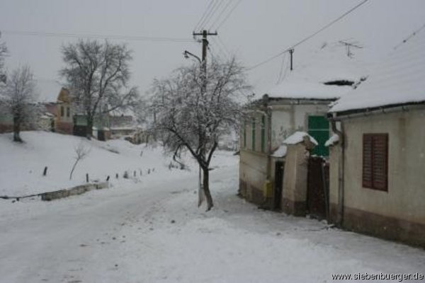 Winter 2012