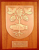 Das Wappen von Mediasch