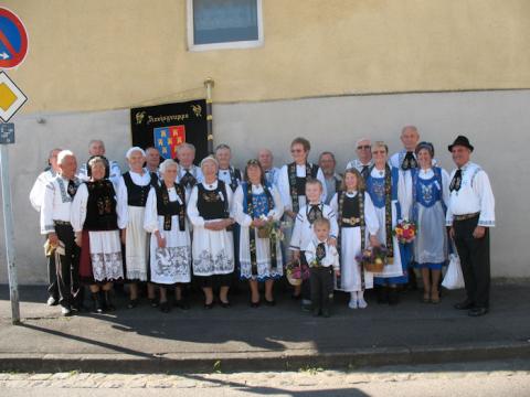   2011:  Gochsheim Umzug  ...