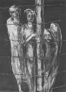 Menschenrechte: Stacheldraht, Kohle, 100 x 70 cm, 1994.
