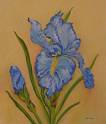 Anni Wester: Blaue Iris, 60 x 50 cm, l auf Leinwand.