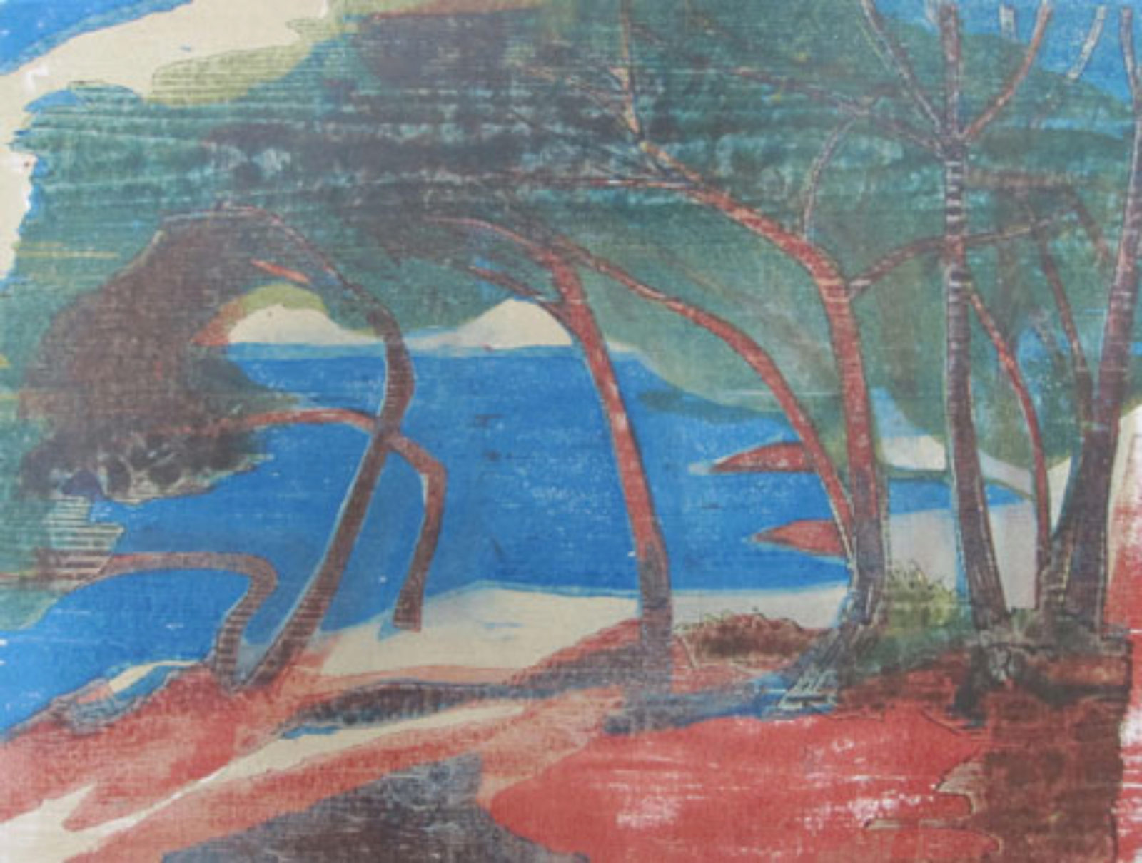 Der Dialog mit der Landschaft Zum Tod des Grafikers Heinz Schunn