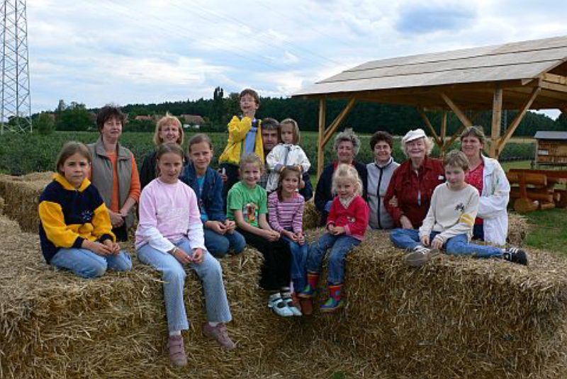 Kinderspielgruppe beim Heidelbeerpflcken ...