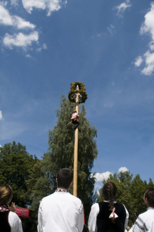 Den zwlf Meter hohen Kronenbaum erklomm der Alt- ...