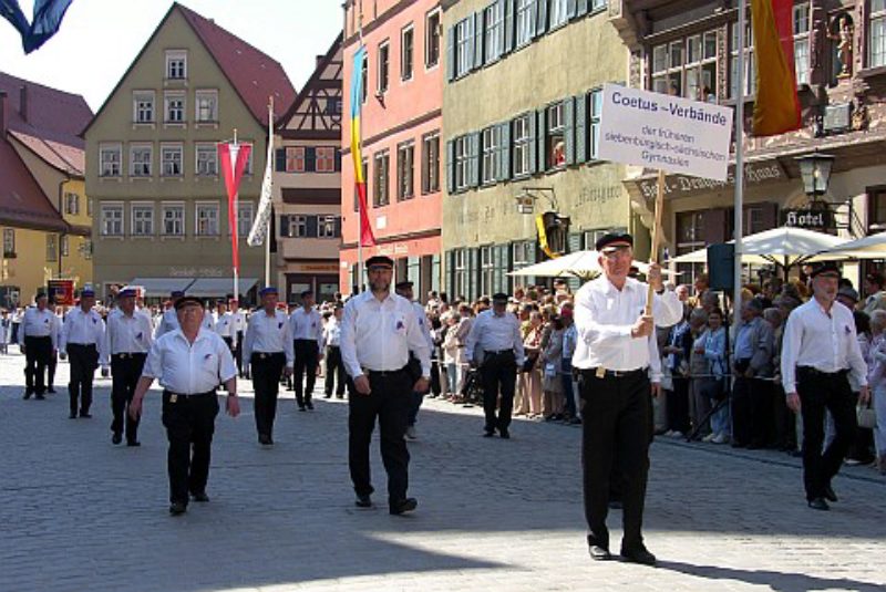 Beim Festzug des Heimattages 2008 in Dinkelsbhl ...