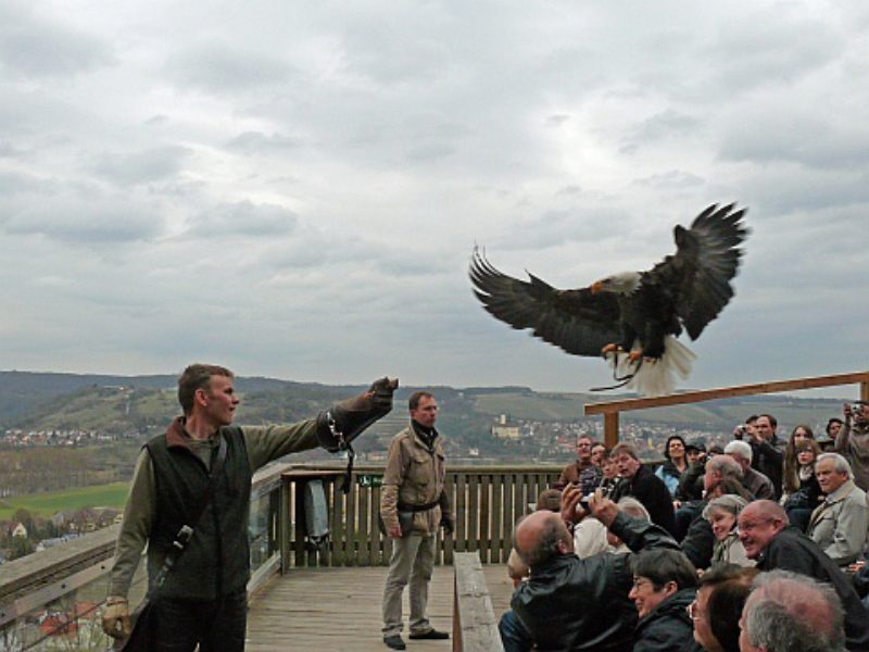 Die Bonner Kreisgruppe bei der Greifenschau auf ...