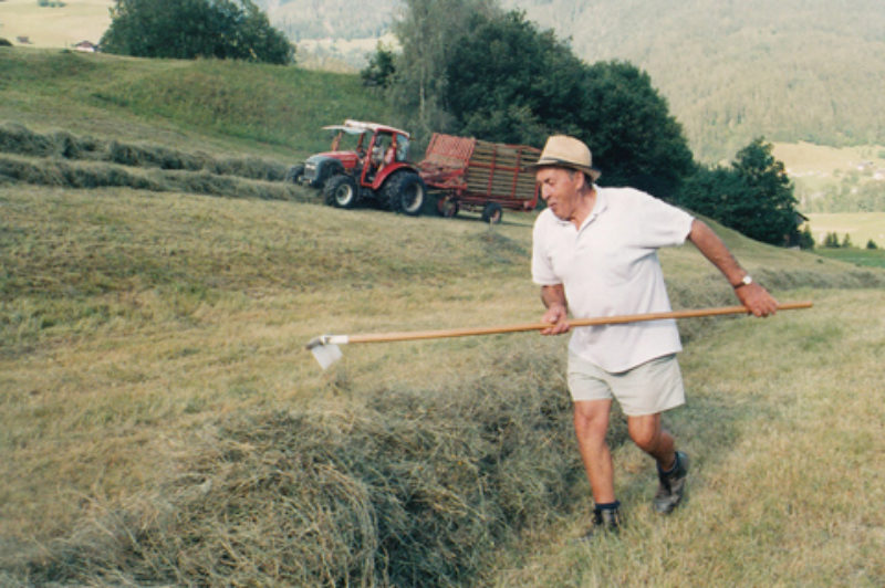 Tchtig und rstig. Georg Guist beim Heumachen. ...