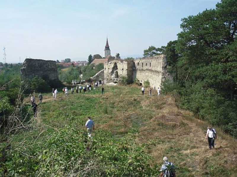 Marienburg am Alt. Foto: Ortwin Gndisch ...