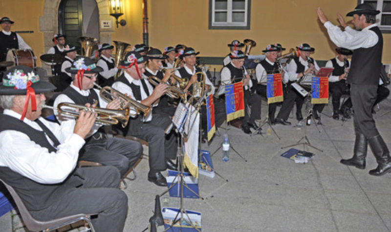 Die „Lustigen Trauner Adjuvanten“ musizierten ...