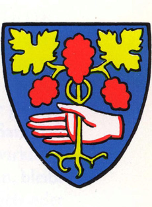 Wappen Mediasch ...