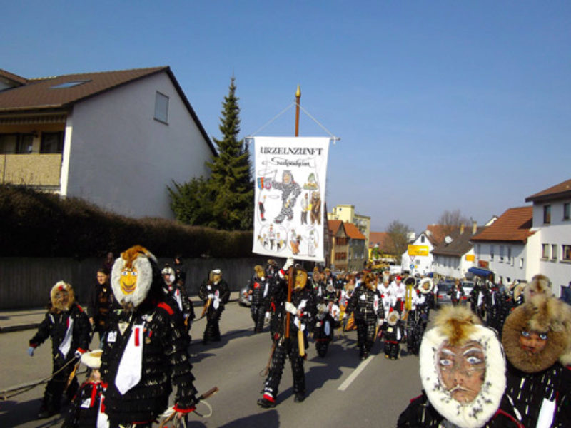 Die Urzelnzunft Sachsenheim in der Oberriexinger ...