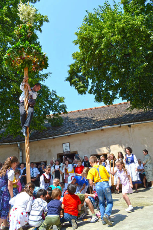 Beim Kronenfest in Frauendorf erklimmt der junge ...