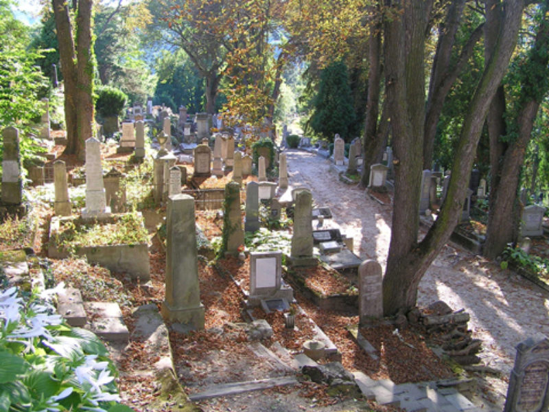 Der Bergfriedhof in Schburg. ...