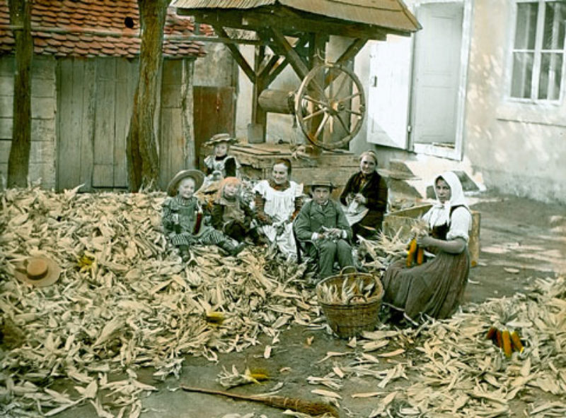 Maisschlen in Siebenbrgen (ca. 1902). Das ...