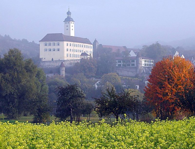 Am Unterlauf des Neckars zwischen Heilbronn und ...