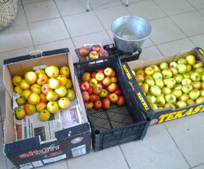Alte Apfelsorten auf dem Apfelfest in Sibiel. ...