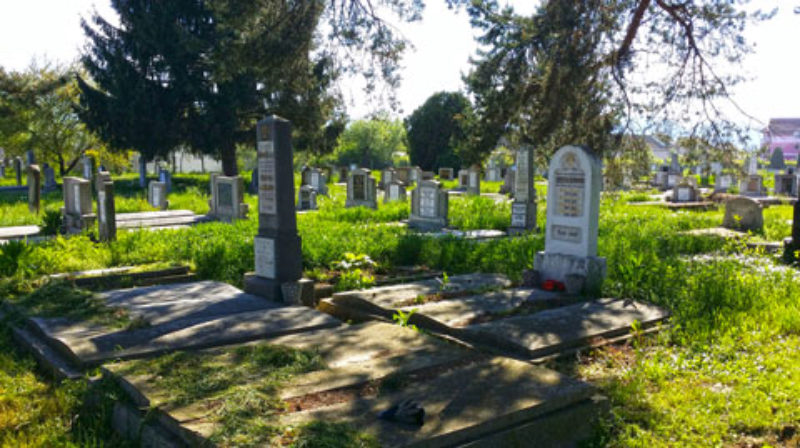 Groauer Friedhofsanlage vor Beginn des ...