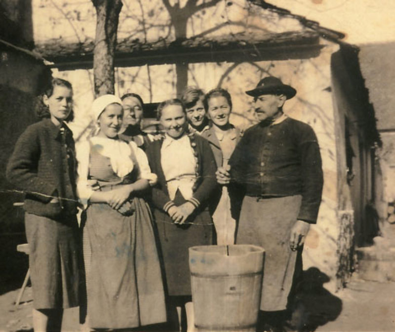 Familie Rieger bei der Weinlese in Gropold, ...