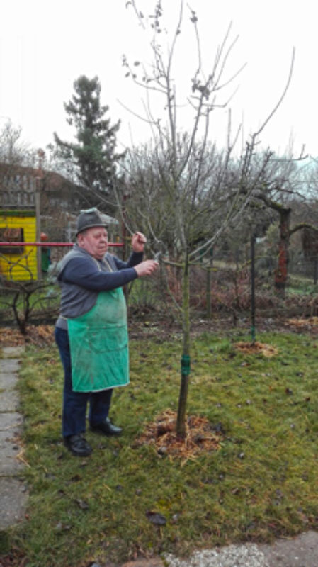 Michael Fograscher sen. in seinem Schrebergarten ...