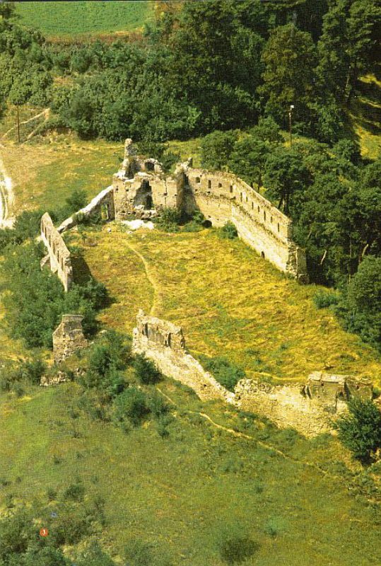 Die Ruinen der Marienburg vor der ...