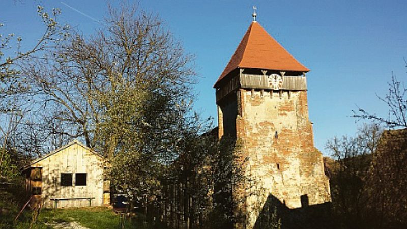 Hahnbach zur Obstblüte - Kirchturm und ...