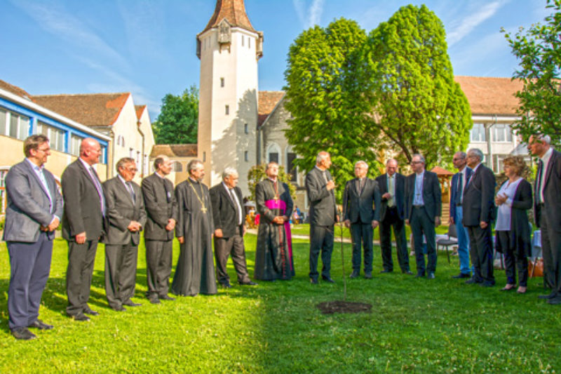 Strahlender Sonnenschein zur Apfelbaumpflanzung ...