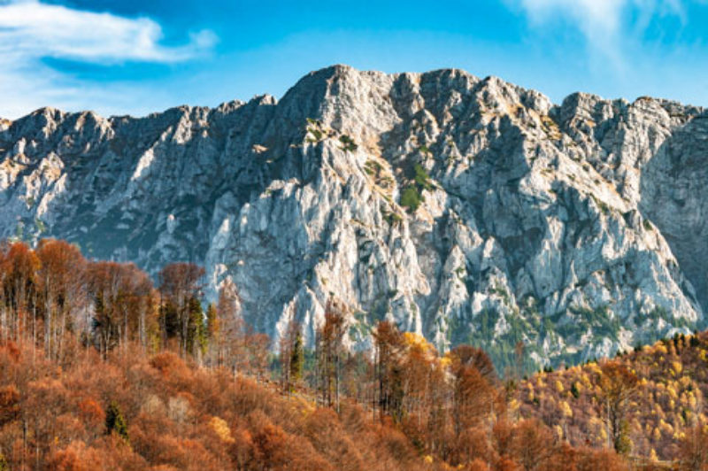 Der herbstliche Knigstein in Eichlers Kalender ...