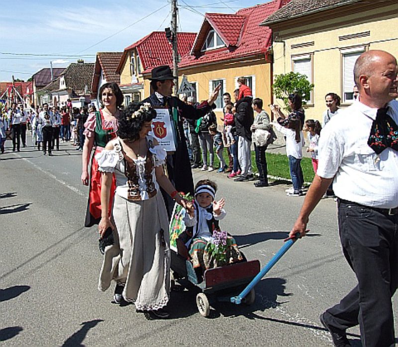 Das Ortsforum Brenndorf war beim Blumenfest ...