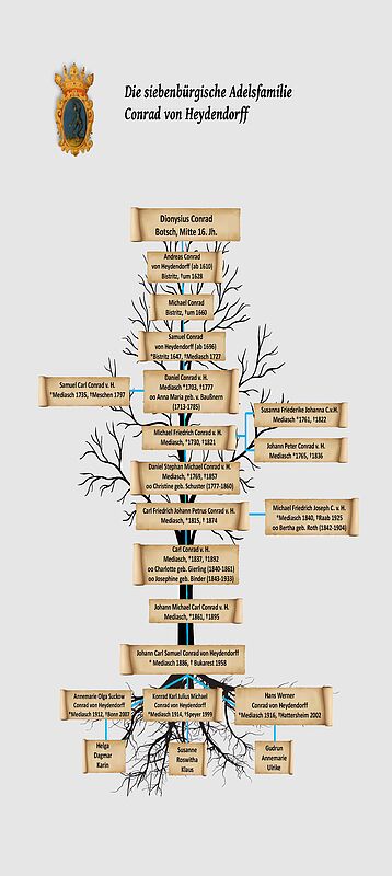 Stammbaum der Familie Conrad Edle von ...
