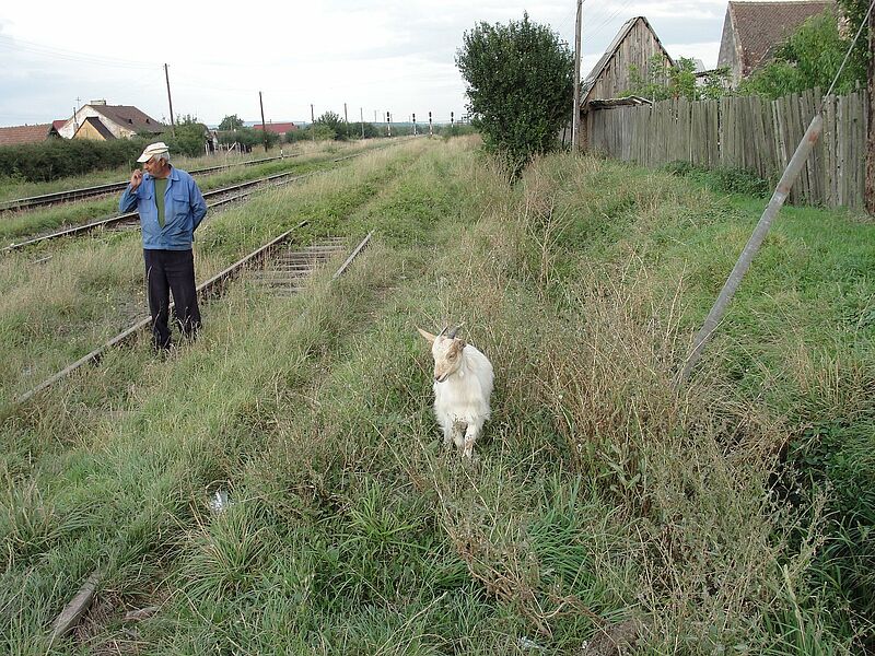 Bahngleise in Groau, dem „Dorf der Strche“ ...