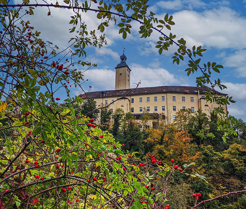 Schloss Horneck im Herbst. Foto: Gnther Melzer ...
