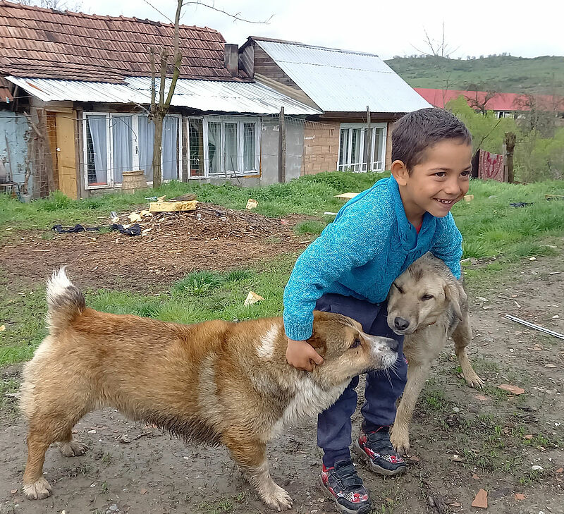 Dieser Junge wächst in einem Romadorf auf. Hunde ...