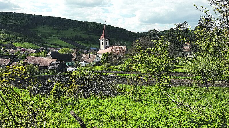 Blick auf Rode, 2023. Fotos: Sabine Breihofer ...