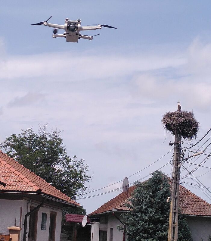 Drohne im Flug zum Nest und Landung zwischen den ...