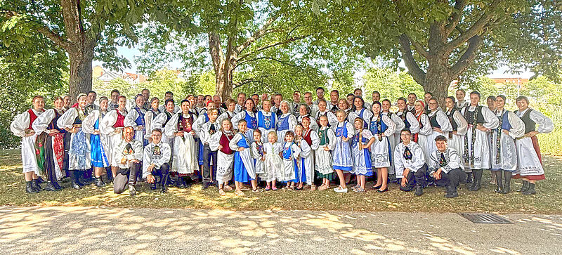Die Tanzgruppen beim Kronenfest in Bblingen. ...