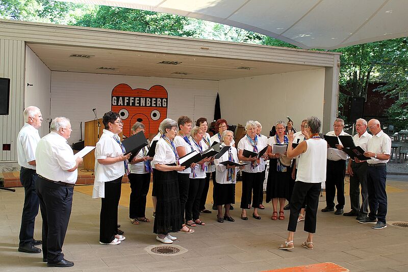 Der Liederkranz der Kreisgruppe Heilbronn unter ...