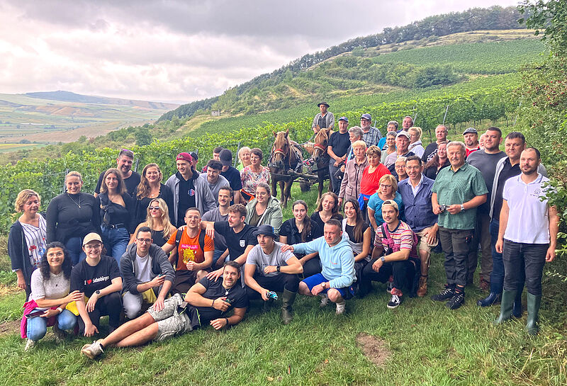 Die Seminarteilnehmer whrend der Traubenlese im ...