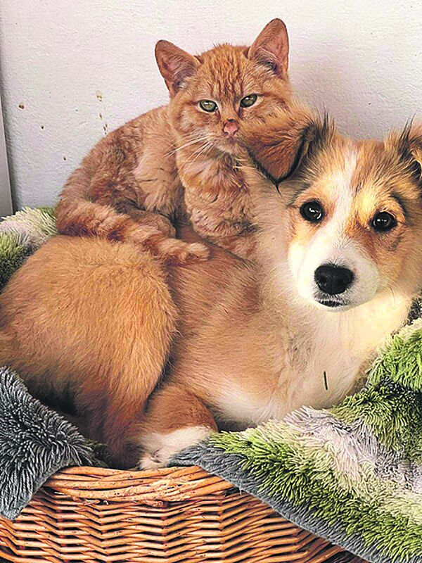 Gemeinsam statt einsam – im „LifePlace“ in ...