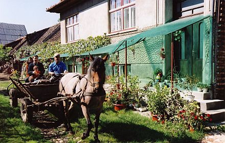 Ausflug mit dem Pferdewagen in Tartlau. Foto: Eva von Steinburg