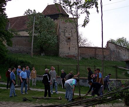 Aufstellen der Maibume vor der Burg in Bulkesch. Bild: Detleff Schermer