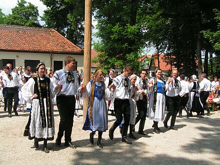 Kronenfest 2005 in Herzogenaurach: Die Jugend fhrt den Aufmarsch der Trachtenpaare an. Foto: Arni Klein