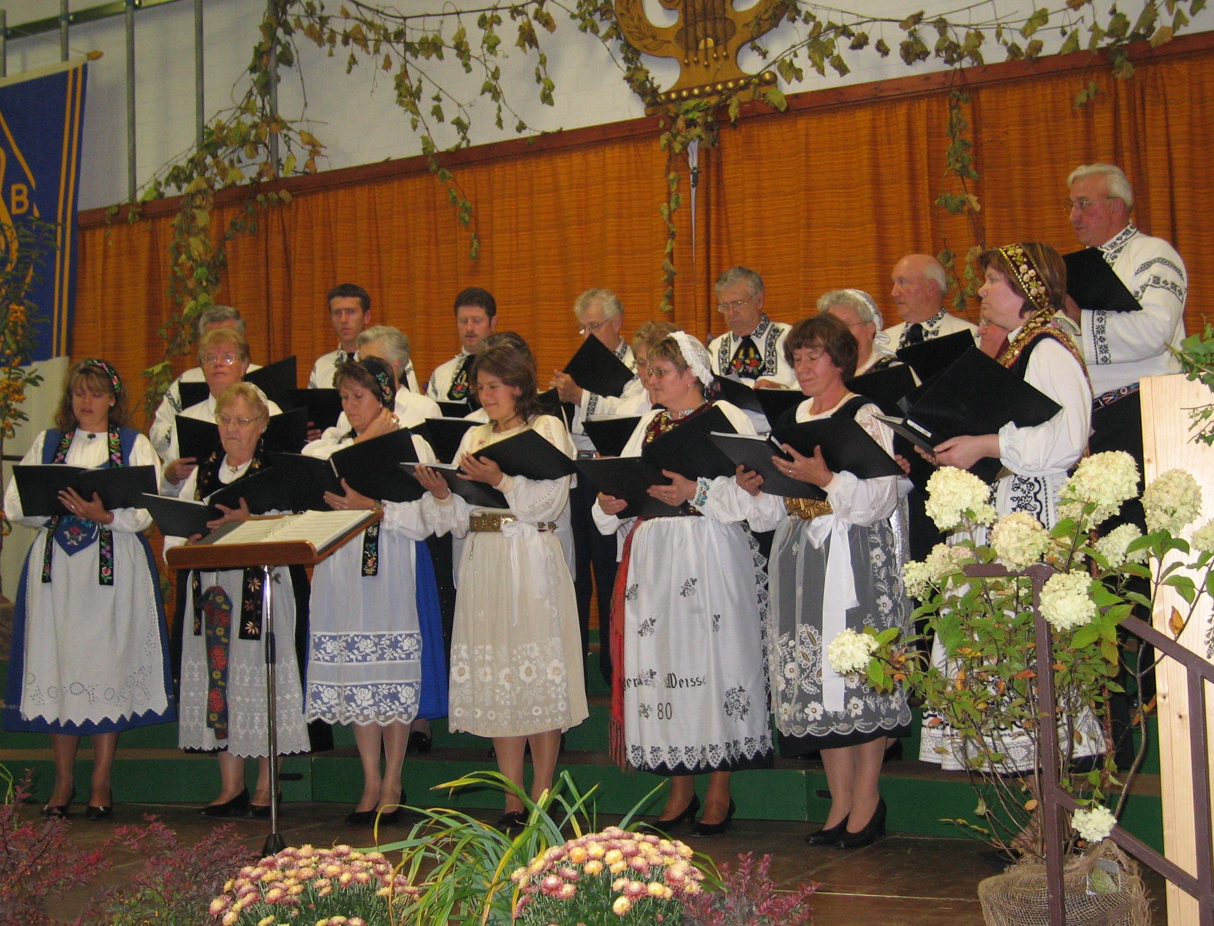 Die Chorgemeinschaft der Kreisgruppe Landsberg beim Sngerfest in Langenneufnach. Foto: Edeltraut Schebesch