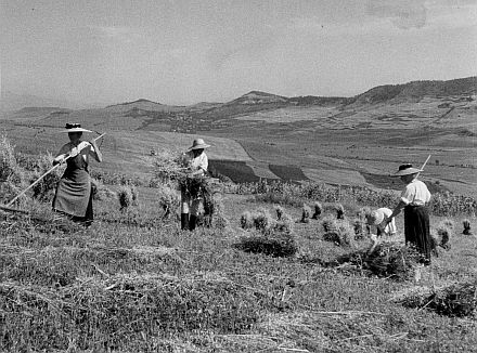 Im März 1945 wurden die siebenbürgisch-sächsischen Bauern im Zuge der kommunistischen Agrarreform enteignet. Ihre Verwurzelung mit dem Boden nahm ein jähes Ende. Aufnahme der Pressefotografin Erika Groth-Schmachtenberger in Lechnitz, 1939.