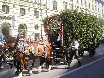 Der nach altem Brauch geschmckte Rinnenwagen der HOG Schnau zog viele Blicke auf sich. Foto: Alexander Di Leonardo