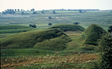 Rutschungshügel bei Trappold.
