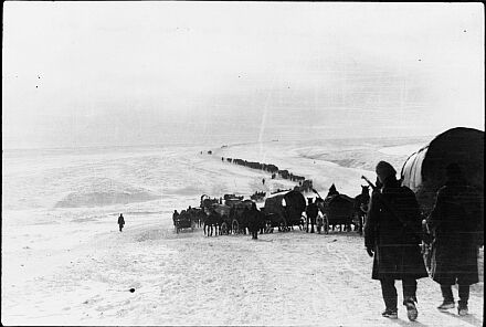 Friedrich von Bmches: Auf dem Rckweg von Stalingrad